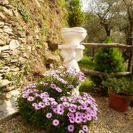 Casa Vacanze Sole Borghetto d'Arroscia Extérieur photo